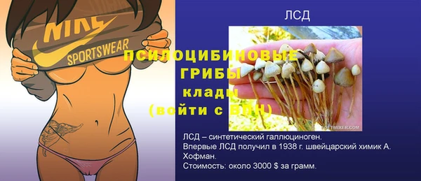 амф Абаза